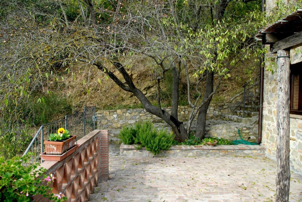 Podere Monte Petreto San Savino  部屋 写真