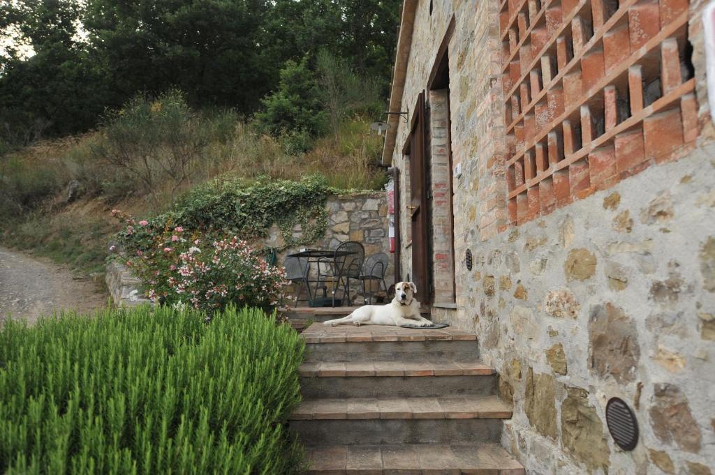 Podere Monte Petreto San Savino  部屋 写真