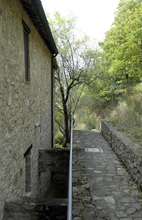 Podere Monte Petreto San Savino  部屋 写真