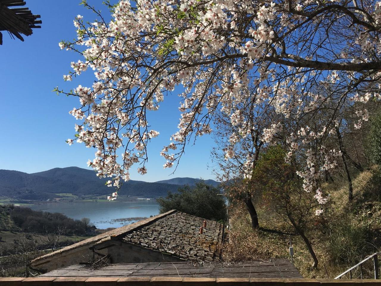 Podere Monte Petreto San Savino  エクステリア 写真